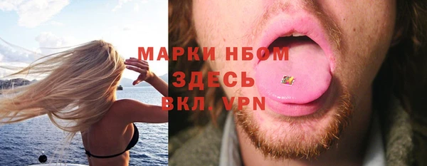 стаф Кулебаки
