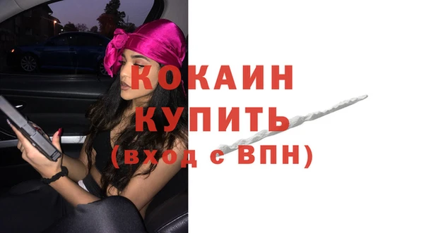 стаф Кулебаки