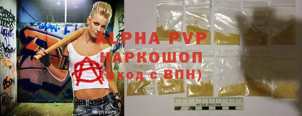 стаф Кулебаки