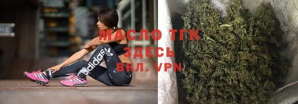 стаф Кулебаки