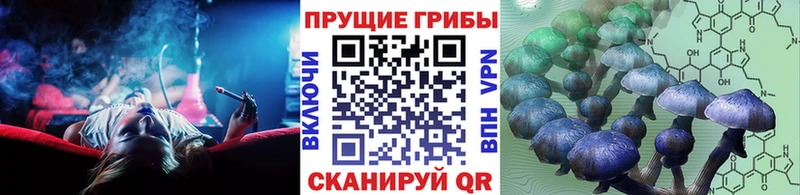 blacksprut онион  Уссурийск  Псилоцибиновые грибы ЛСД 